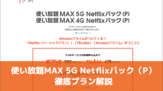 使い放題MAX 5G Netflixパック（P）徹底プラン解説